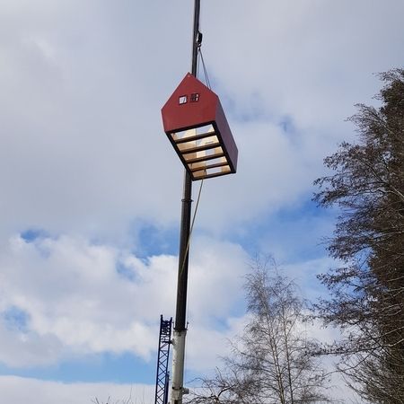 66604297-20210320-084912