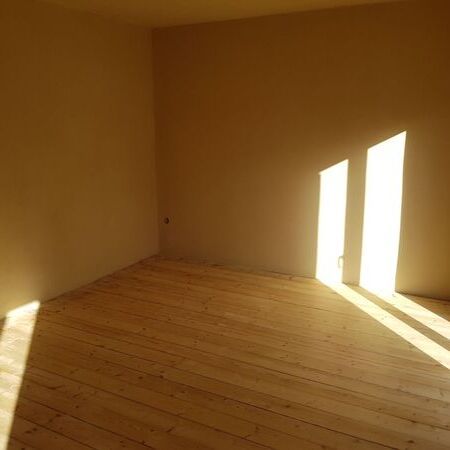 Lehmputz Dielenboden Sanierung